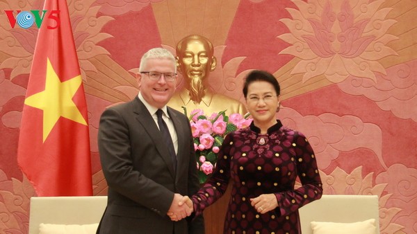 Нгуен Тхи Ким Нган приняла послов Австралии и Новой Зеландии во Вьетнаме - ảnh 1